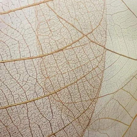 招待所 Keizna 切塞纳