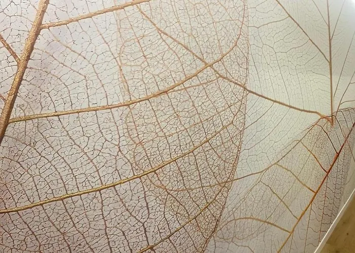 بيت ضيافة Keizna تشيزينا